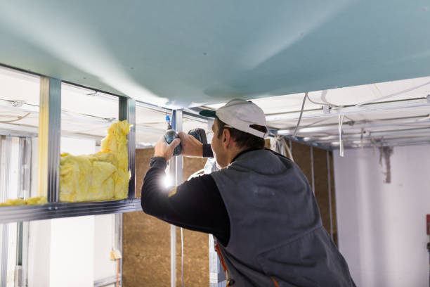 Types of Insulation We Offer in Norwood Young America, MN