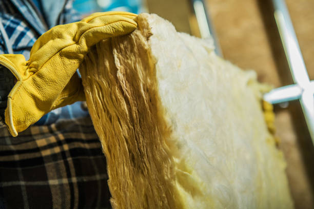 Best Eco-Friendly Insulation in Norwood Young America, MN
