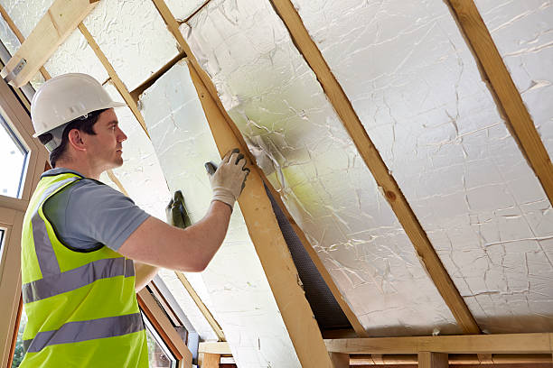 Best DIY Insulation Kits and Guidance in Norwood Young America, MN