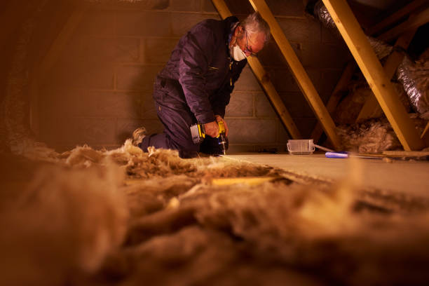 Best Energy Efficiency Insulation in Norwood Young America, MN